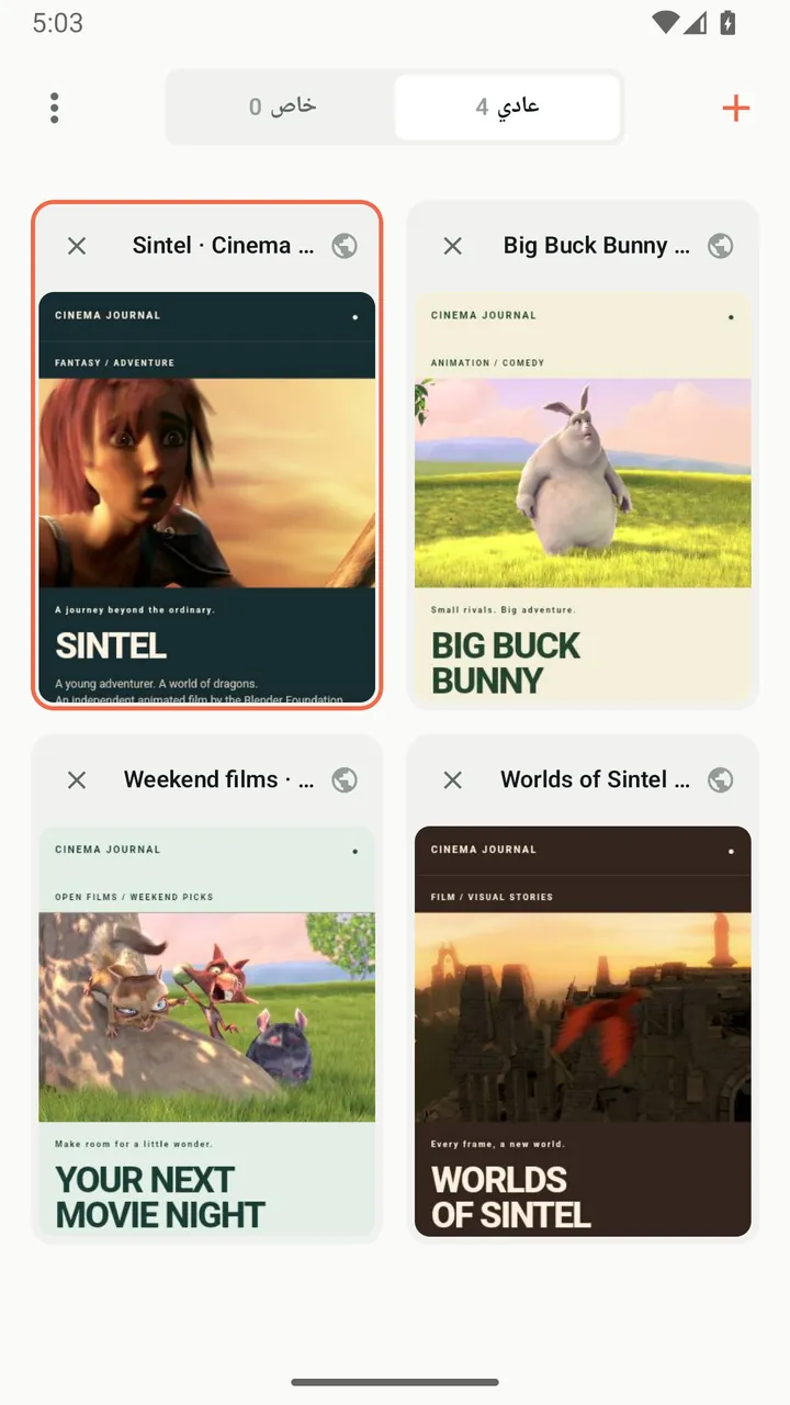 شبكة علامات التبويب في Lynvio مع قسمين للعلامات العادية والخاصة