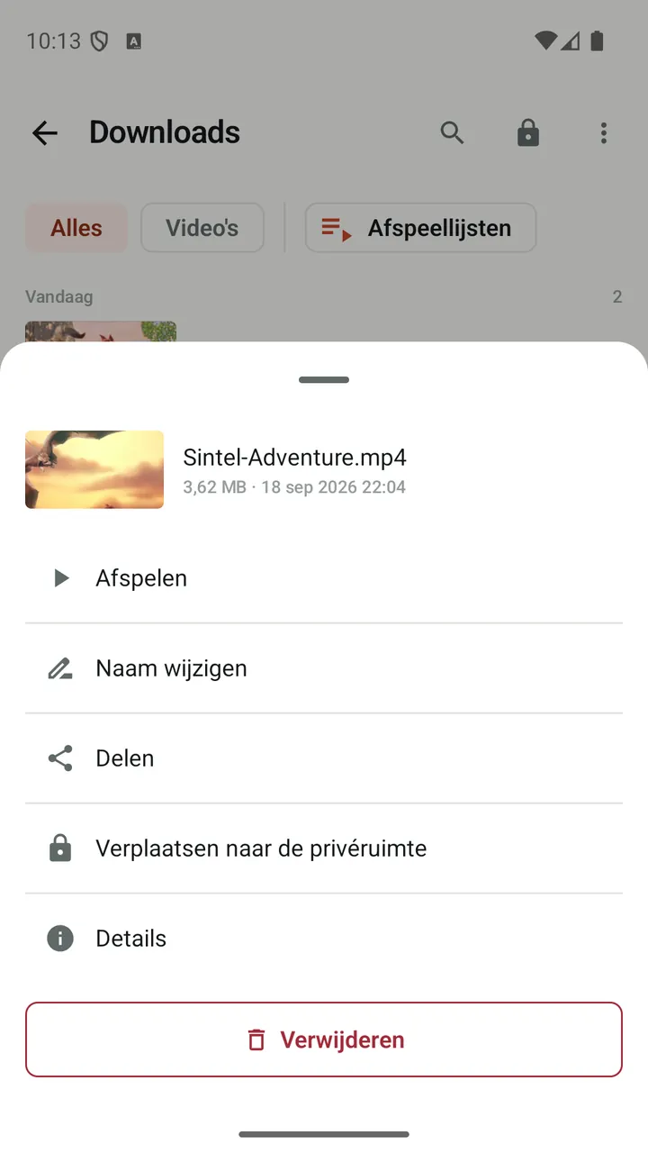 Acties in Lynvio voor een gedownloade video, waaronder ‘Verplaatsen naar de privéruimte’