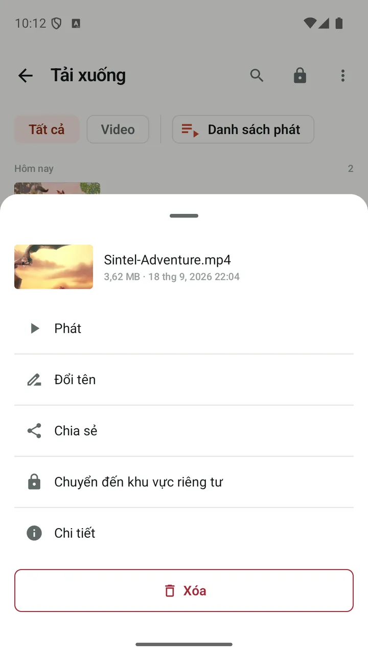Các thao tác của Lynvio cho video đã tải xuống, bao gồm “Chuyển đến khu vực riêng tư”